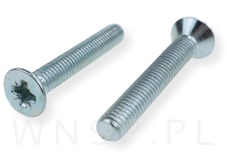 Śruba M8 X 25 mm, stożek, krzyżak - 3
