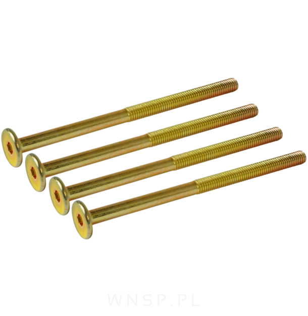 M6 X 100 mm metryczny z łbem walcowym SW 4
