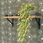 Wspornik, konsola do półki ściennej, wiszącej 300 x 190 x 25 mm - 8