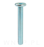 M8 X 60 mm z łbem walcowym na imbus 5 - 6