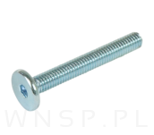 M6 X 50 mm metryczny z łbem walcowym SW 4 - 4