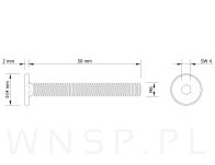 M6 X 50 mm metryczny z łbem walcowym SW 4 - 2