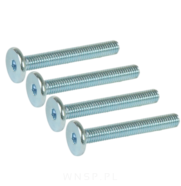 M6 X 50 mm metryczny z łbem walcowym SW 4