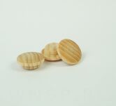 Zaślepki drewniane 20 sztuk do otworu Ø 10 mm jesion, surowe - 3