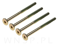 M6 X 55 mm metryczny z łbem walcowym SW 4 - 2