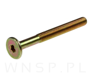 M6 X 55 mm metryczny z łbem walcowym SW 4 - 4