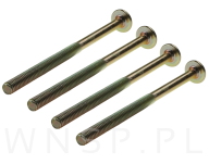 M6 X 55 mm metryczny z łbem walcowym SW 4 - 8