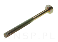 M6 X 55 mm metryczny z łbem walcowym SW 4 - 6