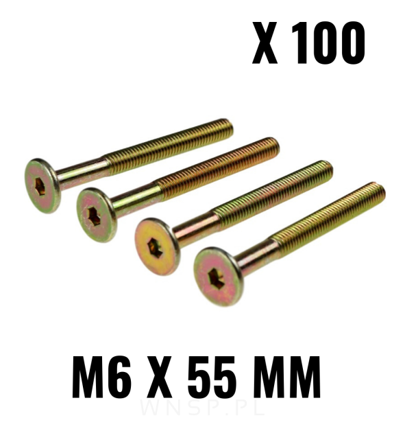 M6 X 55 mm metryczny z łbem walcowym SW 4
