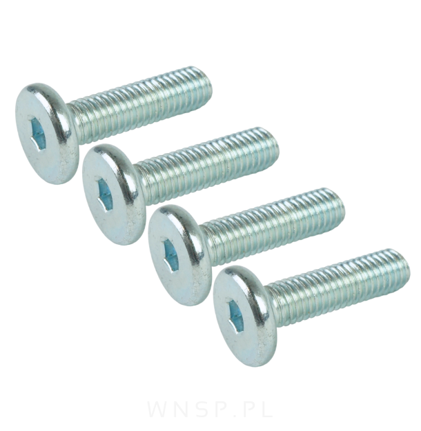 M8 X 30 mm z łbem walcowym na imbus 5