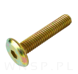 M6 X 30 mm metryczny z łbem walcowym SW 4 - 5