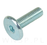 M6 X 20 mm metryczny z łbem walcowym SW 4 - 4