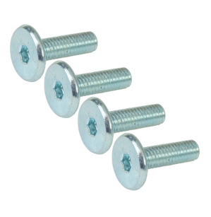 M6 X 20 mm metryczny z łbem walcowym SW 4