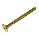 M6 X 70 mm metryczny z łbem walcowym SW 4 - 5