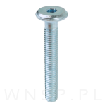 M8 X 55 mm z łbem walcowym na imbus 5 - 6