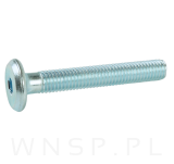 M8 X 55 mm z łbem walcowym na imbus 5 - 4