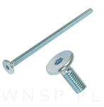 M6 X 120 mm metryczny z łbem walcowym SW 4 - 6