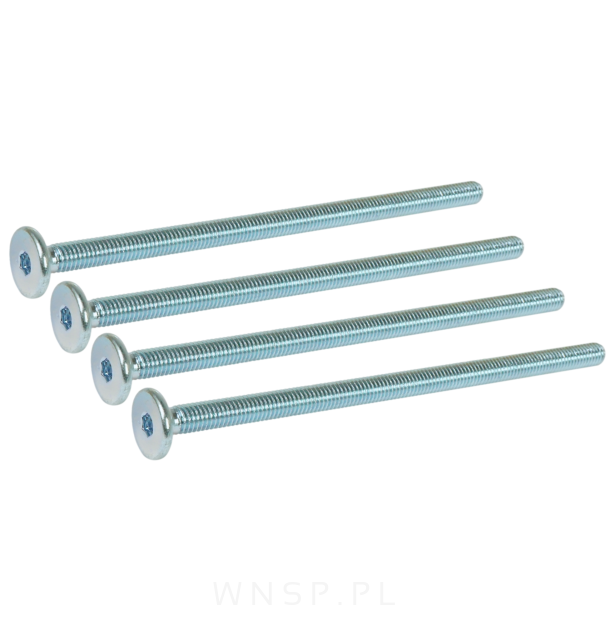 M6 X 120 mm metryczny z łbem walcowym SW 4