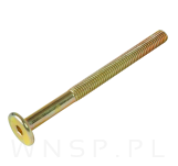 M6 X 75 mm metryczny z łbem walcowym SW 4 - 5