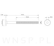 M6 X 75 mm metryczny z łbem walcowym SW 4 - 2
