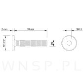 M6 X 30 mm metryczny z łbem walcowym SW 4 - 2
