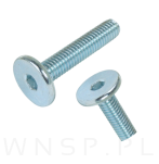 M6 X 30 mm metryczny z łbem walcowym SW 4 - 6