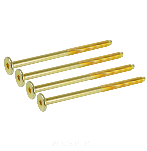 M6 X 100 mm metryczny z wprowadzeniem, SW-4