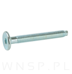 M6 X 50 mm metryczny z wprowadzeniem, SW-4 - 3