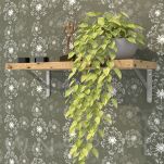 Wspornik, konsola do półki ściennej, wiszącej 200 x 125 x 29 mm - 7