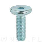 M8 X 25 mm z łbem walcowym na imbus 5 - 4