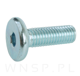 M8 X 25 mm z łbem walcowym na imbus 5 - 6