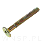 M6 X 50 mm metryczny z łbem walcowym SW 4 - 5