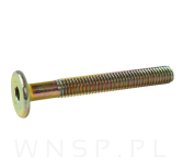 M6 X 50 mm metryczny z łbem walcowym SW 4 - 3