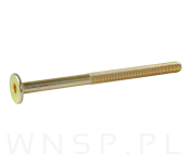 M6 X 90 mm metryczny z łbem walcowym SW 4 - 3