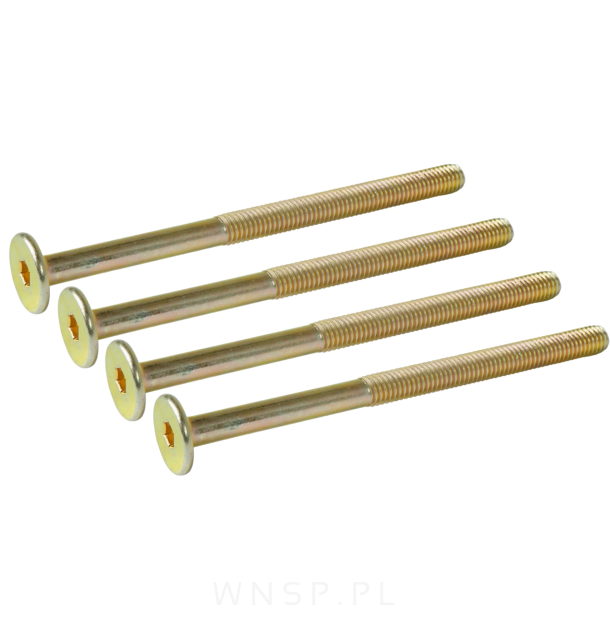 M6 X 90 mm metryczny z łbem walcowym SW 4