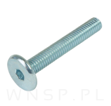 M6 X 40 mm metryczny z łbem walcowym SW 4 - 4