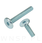 M6 X 40 mm metryczny z łbem walcowym SW 4 - 6