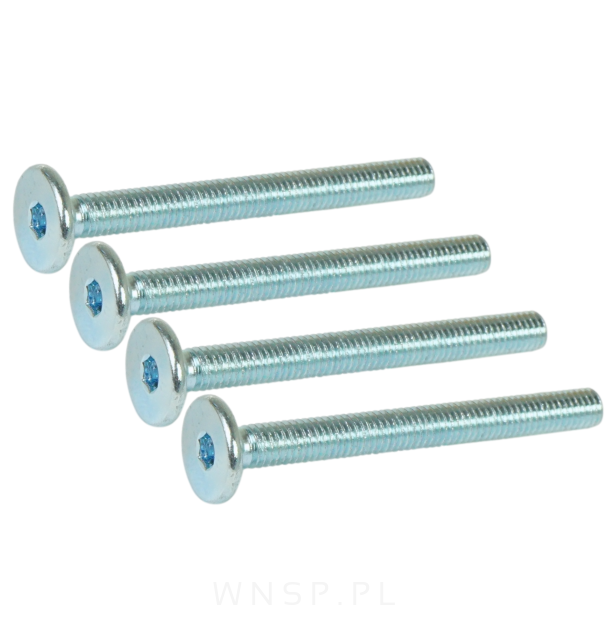 M6 X 80 mm metryczny z łbem walcowym SW 4