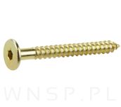 Wkręt HWI 6,3 X 90 mm, SW4, ocynk żółty - 5