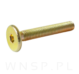 M6 X 40 mm metryczny z łbem walcowym SW 4 - 4