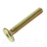 M6 X 40 mm metryczny z łbem walcowym SW 4 - 6