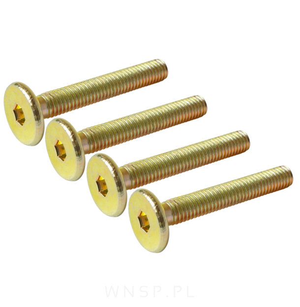 M6 X 40 mm metryczny z łbem walcowym SW 4