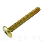 M6 X 45 mm metryczny z łbem walcowym SW 4 - 5