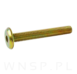 M6 X 45 mm metryczny z łbem walcowym SW 4 - 3