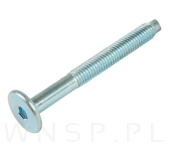 M6 X 55 mm metryczny z wprowadzeniem, SW-4 - 7
