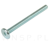 M6 X 100 mm metryczny z łbem walcowym SW 4 - 4