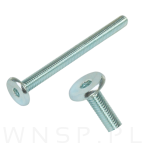 M6 X 100 mm metryczny z łbem walcowym SW 4 - 6