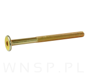M6 X 80 mm metryczny z łbem walcowym SW 4 - 3
