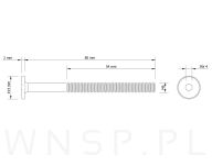 M6 X 80 mm metryczny z łbem walcowym SW 4 - 2