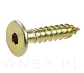 Wkręt HWI 6,3 X 50 mm, SW4, ocynk żółty - 5